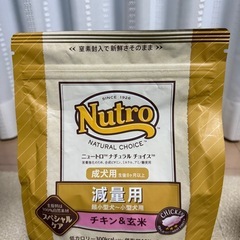 ドッグフード　　　の画像