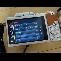 LUMIX ミラーレス一眼カメラ　即利用可！の画像