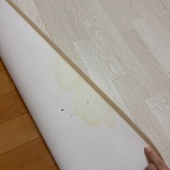 引渡し決定しましたの画像