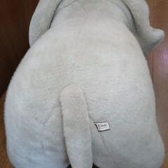 ぞうぬいぐるみの画像