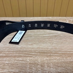 未使用品　アルパインスターズ　ベルトの画像