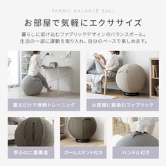 AND・DECO バランスボール65センチ　カバー付　おしゃれの画像