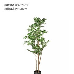 IKEA フェイクグリーン FEJKA フェイカ　観葉植物の画像