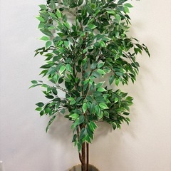 IKEA フェイクグリーン FEJKA フェイカ　観葉植物の画像