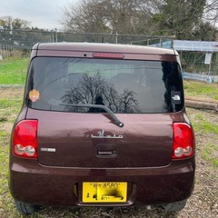 入荷‼️ ラパンの画像