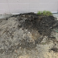 庭の土　残土　土のう袋入り　10袋　
引き取り希望です！の画像