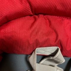 イングリッシーナ　ファストの画像