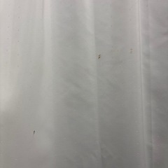 【3/31（午前6時時〜10時）まで】ニトリカーテン100x176の画像