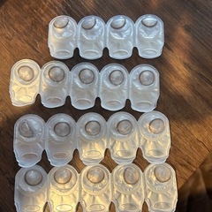 エバーグロー１day   naturalの画像