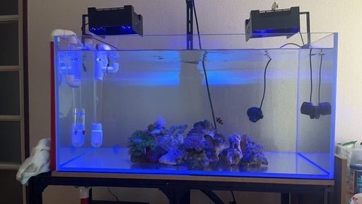 珊瑚用LEDライト Wi-Fi対応 灯罩付き