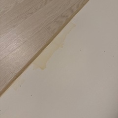 引渡し決定しましたの画像