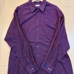 【カルバンクライン・値下げ交渉可】タマムシ調ドレスシャツの画像