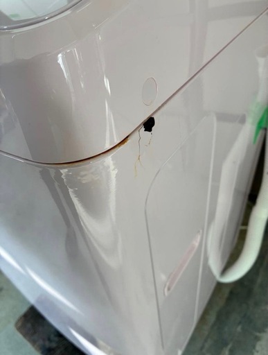2019年式 5.5kg Hisense 洗濯機 HW-G55E5KP