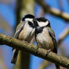 スマホカメラマンさんへお勧め。たまにはいつもと違った写真や動画を取ってみませんか。の画像