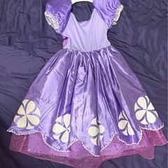 小さなプリンセスソフィアの衣装の画像