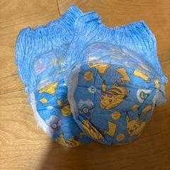 紙パンツL〜ビッグサイズ、トイトレパッドなどのまとめ売りの画像