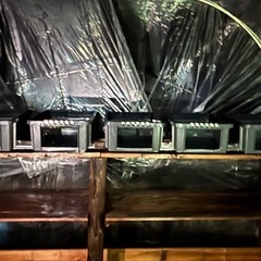 銀墨めだかの画像