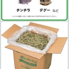 小動物　チモシー牧草の画像