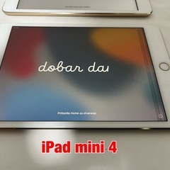 Apple iPad mini 4 iPad mini 3の画像