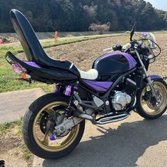 バリオス2型の画像