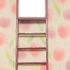 鏡付きはしご　インコ　鳥　セキセイの画像