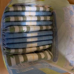 マナーパンツ男の子用Mの画像