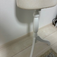 トルソーの画像