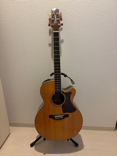 Takamine アコースティックギター DMP50s