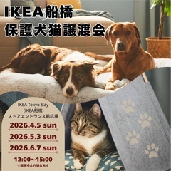 IKEA  TOKYO BAY（IKEA船橋）　　保護犬・…