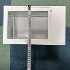 爬虫類、水槽の画像