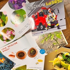 なんでもサイエンス　12冊の画像