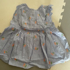 プティマイン110
の画像