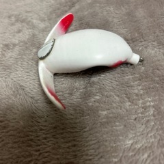 ばしりすきーの画像