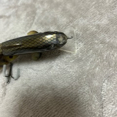 ルアーの画像
