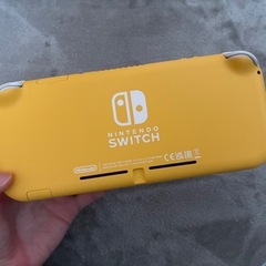 Switchライトとソフトの画像