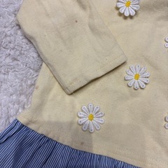 プティマイン　80センチの画像