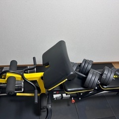 BODYMAKER マルチトレーニングベンチ（ディップス・腹筋・背筋対応）の画像