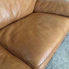 （限界最終価格）【4/3に募集締め切ります】            　4/5(日)引き取り限定　＊値下げ不可の画像