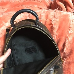 LV美品ミニリュックの画像
