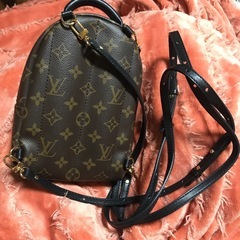 LV美品ミニリュックの画像