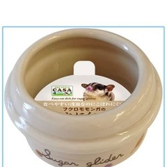 フクロモモンガの画像