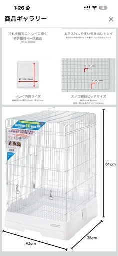 フクロモモンガ