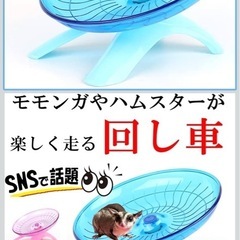 フクロモモンガの画像