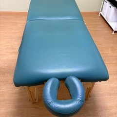 アースライトマッサージベットの画像