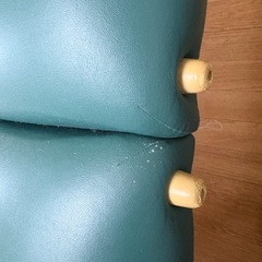 アースライトマッサージベットの画像