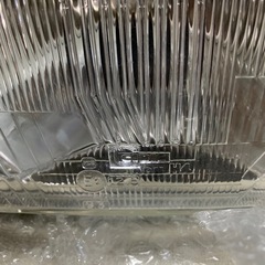 シビエ角目の画像