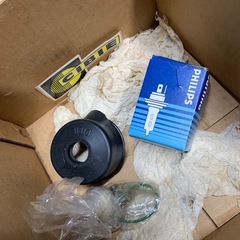 シビエ角目の画像