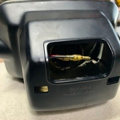 シビエ角目の画像