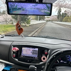 ワゴンRステンググレーの画像