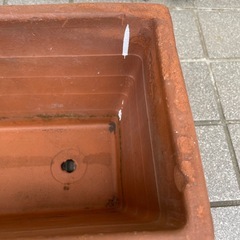 お取引中　ガーデニング の画像